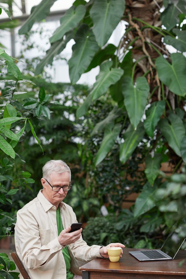 San32torelia galéria